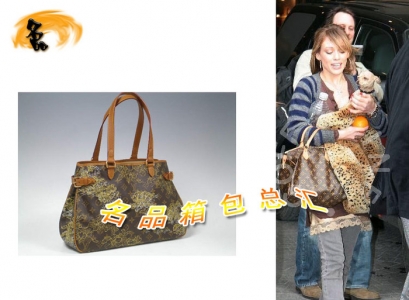 M95399 Louis Vuitton LV��(j��ng)���ϻ� LVŮ�� LV����� LV���CŮ��