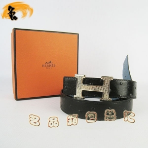 487 ���¿� ��(��i)�R���п�Ƥ�� HermesƤ�� Hermes���� �r�B(ni��o)�y�������{(l��n) �\���3cm