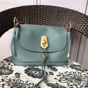 5655 Chloe ������ Owenϵ�� ��ɫ�i�� �M(j��n)��ţƤ ƴƤ���w�� ���ɾG