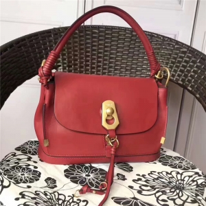 5655 Chloe ������ Owenϵ�� ��ɫ�i�� �M(j��n)��ţƤ ƴƤ���w�� �tɫ
