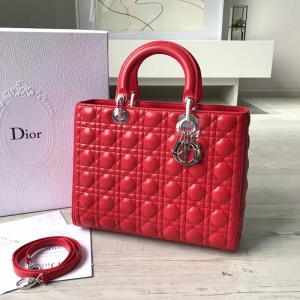 Dior�ϊW Lady Dior ��������� �߸��̖ �tɫ��Ƥ �y��