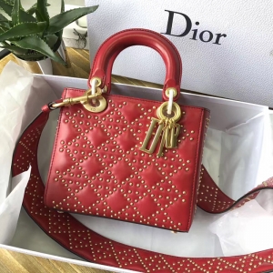 M0579 Dior�ϊW LADY DIOR�tɫСţƤ��ܛ����� ������μ��
