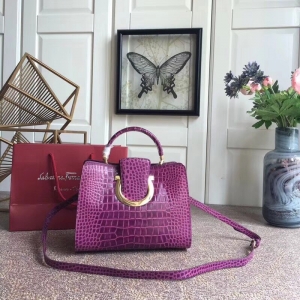 21F893 Ferragamo ������Ľ ��h��� �{�~�y ��̖���w 朗l�� ��ɫ
