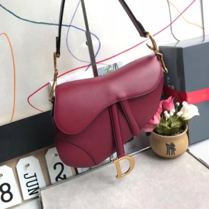 M0446 Dior SaddleСţƤ����� Dior�R���� DiorŮ�� õ�t