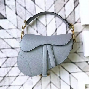 M0447 DiorŮ�� 2019 Saddle�R���� СţƤ���� �ϊW����� �F���{