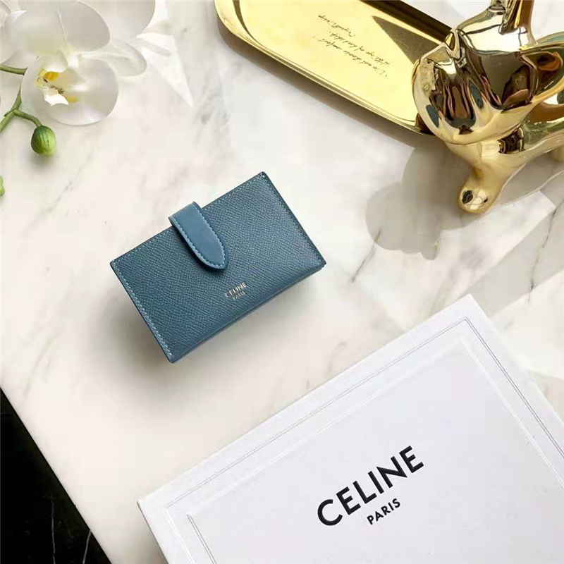 10B693 Celineِ�տ��� ����СţƤ Celine�L���޿��� �F���{