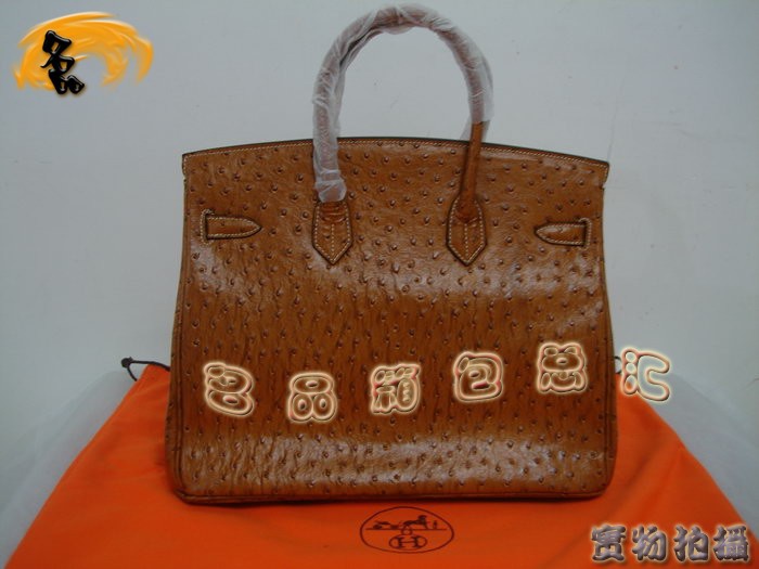 Hermes女包 Hermes 鴕鳥紋 Hermes 手提包 Hermes Birkin 鉑金包 35cm