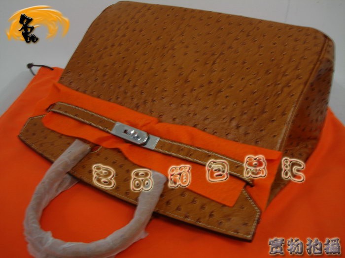 Hermes女包 Hermes 鴕鳥紋 Hermes 手提包 Hermes Birkin 鉑金包 35cm
