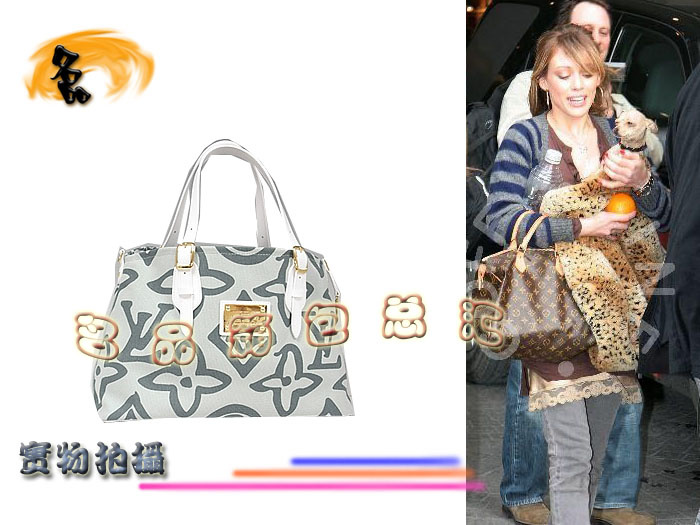 M95678 LV最新款 Louis Vuitton LV帆布系列 LV女包 LV手提包