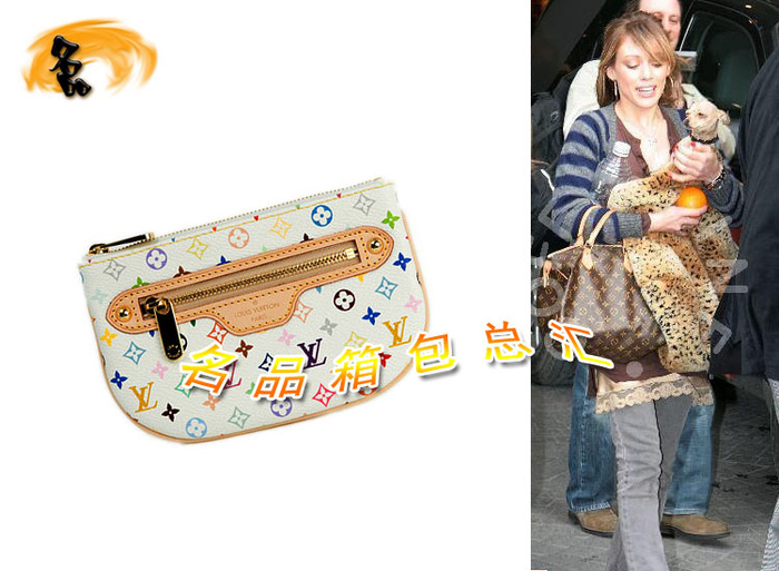 M60028 Louis Vuitton LV女包 LV33彩 LV白彩 LV零錢包 LV手包