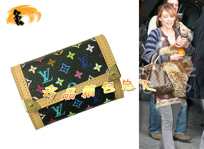 M92656 Louis Vuitton LV錢包 LV經典款 LV33彩 LV三三彩 LV女包