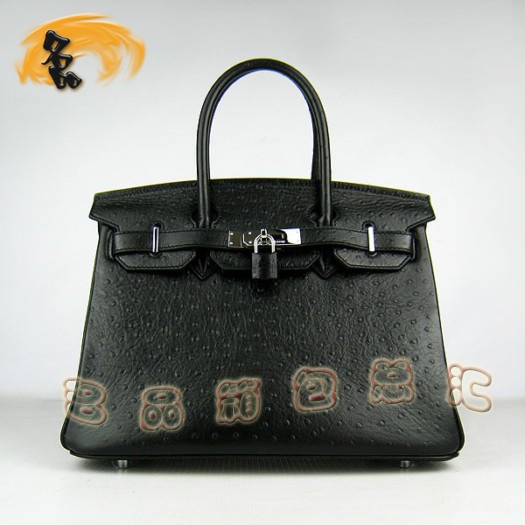 6088 Hermes最新款 時尚女包 Hermes鴕鳥紋 手提包 Hermes Birkin 鉑金包 30cm