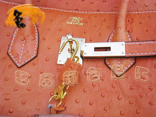 6089 Hermes���N�¿� �r��Ů�� Hermes�r�B�y ����� Hermes Birkinϵ�� �K���