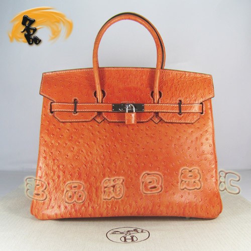 6089 Hermes新款明星最愛 時尚鴕鳥紋 手提包 Hermes女包 Hermes Birkin 鉑金包