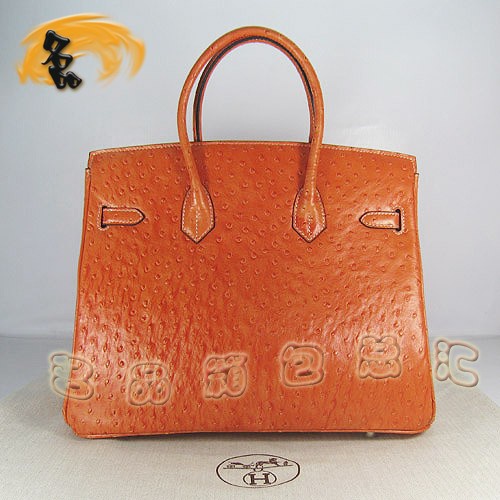 6089 Hermes新款明星最愛 時尚鴕鳥紋 手提包 Hermes女包 Hermes Birkin 鉑金包