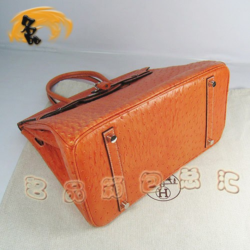 6089 Hermes新款明星最愛 時尚鴕鳥紋 手提包 Hermes女包 Hermes Birkin 鉑金包