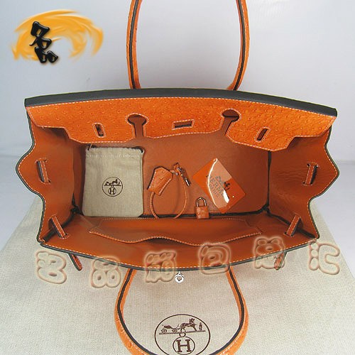 6089 Hermes新款明星最愛 時尚鴕鳥紋 手提包 Hermes女包 Hermes Birkin 鉑金包