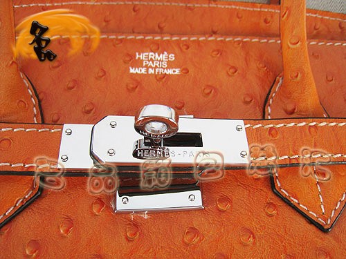 6089 Hermes新款明星最愛 時尚鴕鳥紋 手提包 Hermes女包 Hermes Birkin 鉑金包