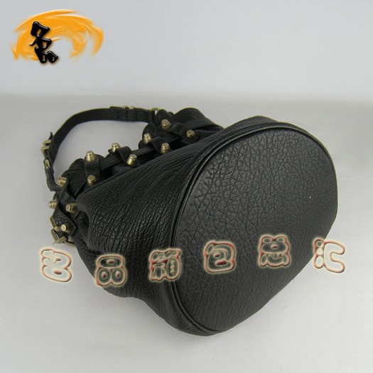 63462 Alexander Wang/亞利山大王 時(shí)尚休閑女包 手提包 斜挎包 柳釘包