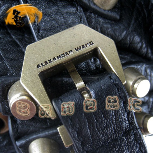 63462 Alexander Wang/亞利山大王 時(shí)尚休閑女包 手提包 斜挎包 柳釘包
