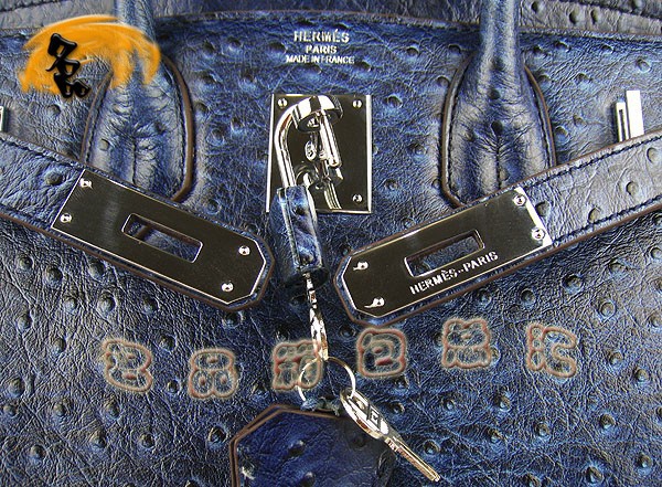 6088 ���R��Ů�� Hermes Birkin �K��� Hermes����� �r�B�y�y�� ���{ɫ