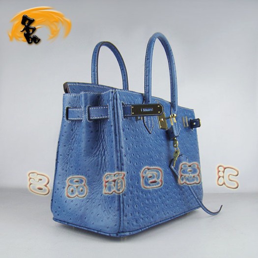 6088 ���R��Ů�� Hermes Birkin �K��� Hermes����� �r�B�y��� �{(l��n)ɫ