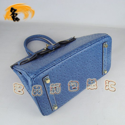 6088 ���R��Ů�� Hermes Birkin �K��� Hermes����� �r�B�y��� �{(l��n)ɫ