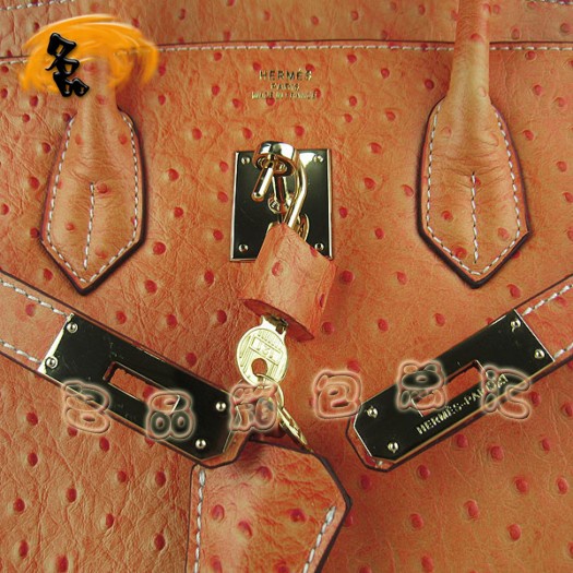 6089 ���R���¿��r�B�yŮ�� Hermes Birkin �K��� Hermes����� ��ɫ���