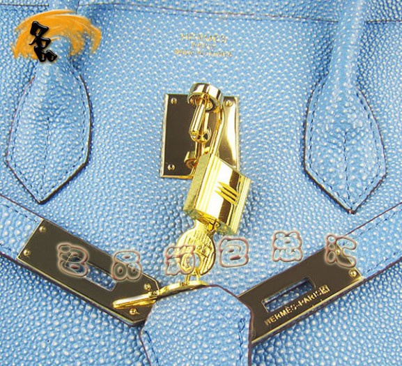 6089 Hermes����� Hermes 35 Birkin �K��� ����yŮ�� �\�{(l��n)ɫ���