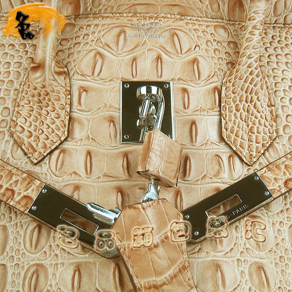 6089 愛(ài)馬仕女包 Hermes手提包 Hermes Birkin 鉑金包 鱷魚頭紋(35) 土黃色銀扣