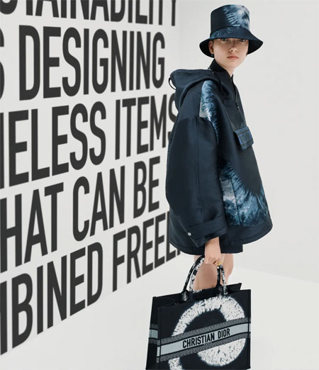 DIOR�ϊW ��������������ϵ�� �����x��
