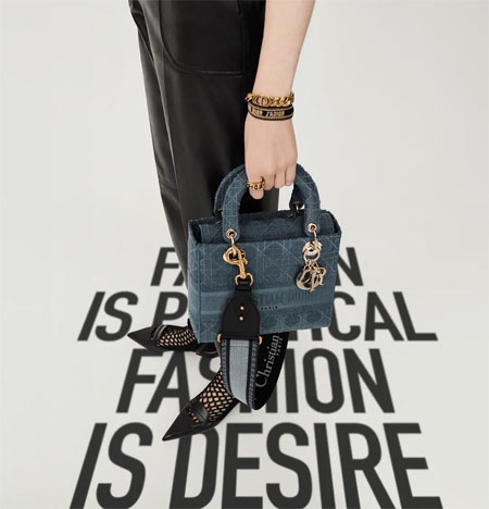DIOR�ϊW ��������������ϵ�� �����x��
